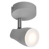 Ledvance Lights Spot ceiling light, ceiling spotlight LED grey, 1-light source
