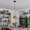 Gastor hanging light, globe light 20 cm gold, clear, 1-light source