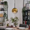 Gastor hanging light, globe light 20 cm gold, clear, 1-light source
