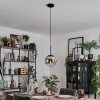 Gastor hanging light, globe light chrome, clear, Smoke-coloured, 1-light source