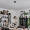 Gastor hanging light, globe light clear, Smoke-coloured, 1-light source