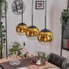 Gastor hanging light, globe light gold, clear, 3-light sources