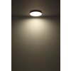 Globo lighting Matthew ceiling light LED white, 1-light source