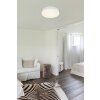 Globo lighting Matthew ceiling light LED white, 1-light source