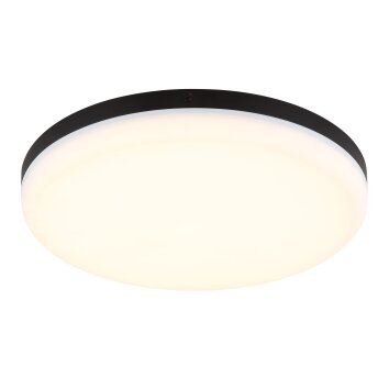 Globo lighting Matthew ceiling light LED black, 1-light source