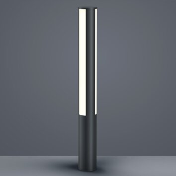 Helestra PIER bollard light LED black, 3-light sources