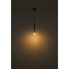 Globo lighting Blake hanging light black, 1-light source