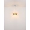 Globo lighting Baku hanging light black, 1-light source