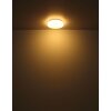 Globo lighting Warata ceiling light LED white, 1-light source, Remote control, Colour changer