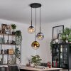 Gastor hanging light, globe light Amber, gold, clear, Smoke-coloured, 3-light sources