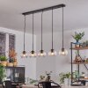 Koyoto globe light, pendant light black, 5-light sources