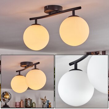 Gastor ceiling light, globe light white, 2-light sources