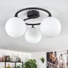 Gastor ceiling light, globe light white, 3-light sources