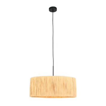 Steinhauer lights Light pendant light black, 1-light source