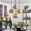 Ripoll hanging light, globe light, pendant light gold, clear, 4-light sources