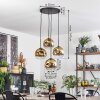 Ripoll hanging light, globe light, pendant light gold, clear, 4-light sources