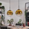 Gastor hanging light, globe light, pendant light gold, clear, 2-light sources