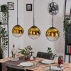 Gastor hanging light, globe light, pendant light gold, clear, 3-light sources