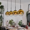 Gastor hanging light, globe light, pendant light gold, clear, 4-light sources