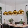 Gastor hanging light, globe light, pendant light gold, clear, 4-light sources