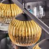 Koyoto hanging light, globe light, pendant light gold, clear, 4-light sources
