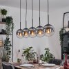 Gastor hanging light, globe light, pendant light clear, Smoke-coloured, 5-light sources