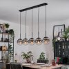 Gastor hanging light, globe light, pendant light clear, Smoke-coloured, 5-light sources