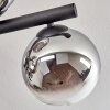 Gastor ceiling light, globe light chrome, clear, Smoke-coloured, 10-light sources