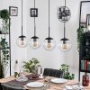 Gastor hanging light, globe light, pendant light clear, 4-light sources