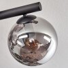 Gastor ceiling light, globe light Smoke-coloured, 10-light sources