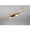 Trio lights ALBANY ceiling light LED black-gold, 1-light source, Remote control