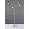 Trio lights Marley floor lamp, Arch lamps matt nickel, 5-light sources