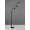 Trio lights Marley floor lamp, Arch lamps black, 5-light sources