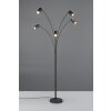 Trio lights Marley floor lamp, Arch lamps black, 5-light sources