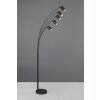 Trio lights Marley floor lamp, Arch lamps black, 5-light sources