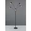 Trio lights Marley floor lamp, Arch lamps black, 5-light sources