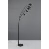 Trio lights Marley floor lamp, Arch lamps black, 5-light sources