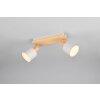 Trio lights Shanti ceiling spotlight grey, 2-light sources