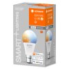 Ledvance Lights B22d 9 Watt dimmable 806 Lumen