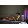 Ledvance Lights FLOOR floor lamp LED black, 1-light source, Remote control
