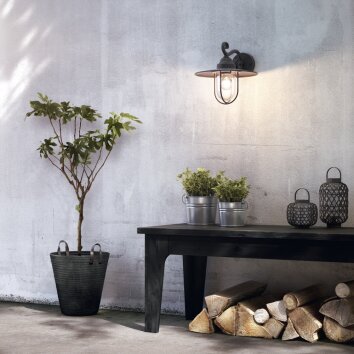 Philips PASTURE Outdoor Wall Light black, 1-light source