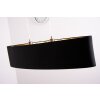 Eglo Maserlo hanging light matt nickel, 2-light sources
