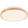 Brilliant lights Bario ceiling light LED white, 1-light source
