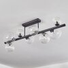 Chehalis ceiling light, globe light clear, 8-light sources