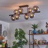 Gastor ceiling light, globe light Smoke-coloured, 8-light sources