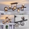 Chehalis ceiling light, globe light clear, Smoke-coloured, 8-light sources