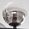 Chehalis ceiling light, globe light clear, Smoke-coloured, 8-light sources