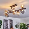Chehalis ceiling light, globe light Amber, clear, Smoke-coloured, 8-light sources