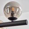 Chehalis hanging light, globe light, pendant light Amber, Smoke-coloured, 10-light sources