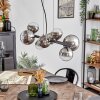 Chehalis hanging light, globe light, pendant light chrome, clear, Smoke-coloured, 8-light sources